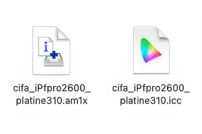 Canon AM1X files vs. ICC Color Profiles